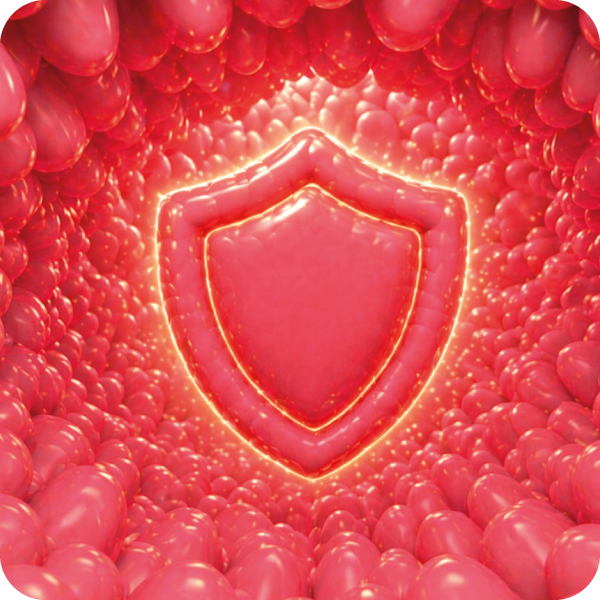 bonagermin-blog-que-es-la-flora-intestinal-para-que-sirve-modulacion-del-sistema-inmune