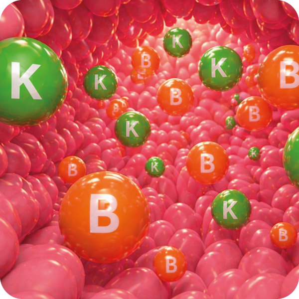 bonagermin-blog-que-es-la-flora-intestinal-para-que-sirve-sintesis-de-vitaminas