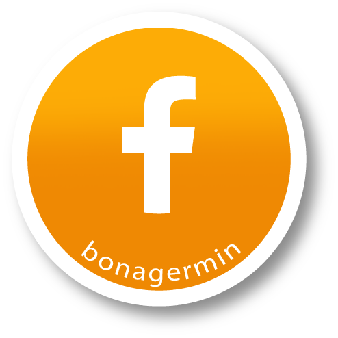 FBICON.png